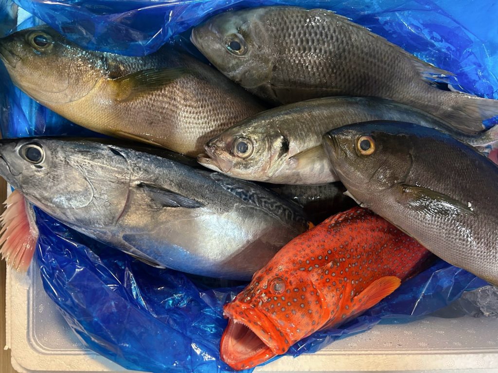 その日に届いた魚